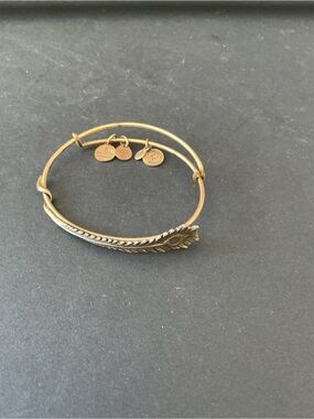 Alex and Ani Gold Feather Expandable Bracelet with Charm Discs